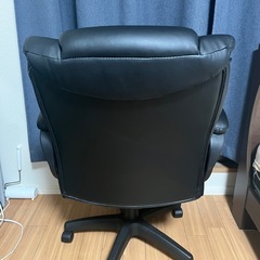 サンワサプライ150-SNCL011BK [ブラック]の画像