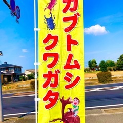 🌈昆虫対面販売イベント開催✨わいわい市藤沢店✨ - イベント