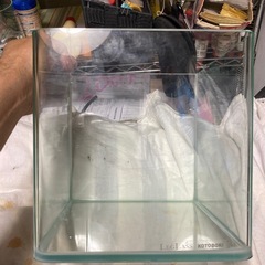 KOTOBUki観賞用水槽の画像