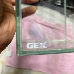 GEX水槽の画像