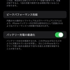 iPhone12 Pro Max256GB (グラファイト)
の画像