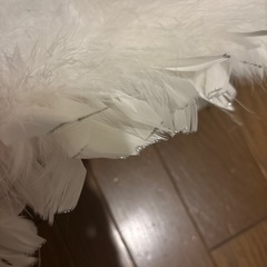 羽のショールの画像