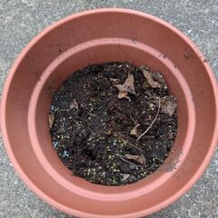 無料/調布/植木鉢の画像