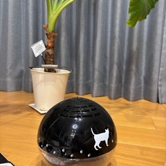 空気清浄機✨除菌、消臭、アロマの香りの画像