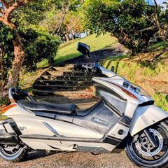 スズキ・ジェンマ250ccの画像