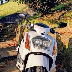 スズキ・ジェンマ250ccの画像