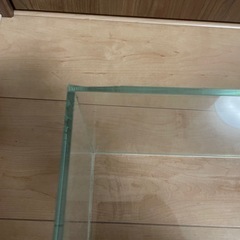 ADA（アクアデザインアマノ）の水槽の画像