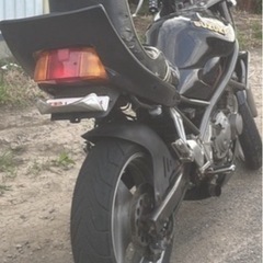suzukiバンディット250の画像