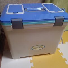 クーラーボックス デンバー danver i-beam #25　小窓付き　投入口付き　25L　25リッター　の画像