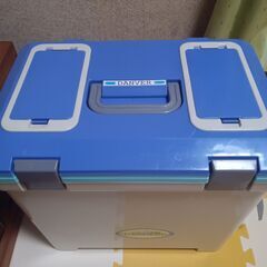 クーラーボックス デンバー danver i-beam #25　小窓付き　投入口付き　25L　25リッター　の画像