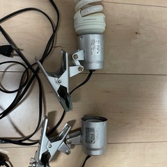 ビバリア　レプロ645の画像