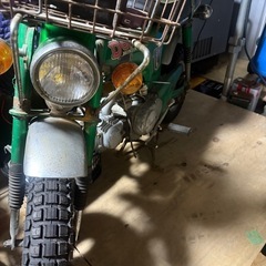 オリジナルダックス
の画像