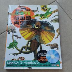 図鑑の画像