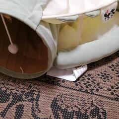 ネコ　ベッド　トンネル　秘密基地の画像