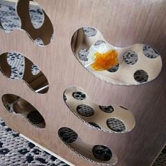 ネコ　オモチャの画像