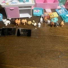 タカラトミー リカちゃん わんにゃんレントゲン！動物病院 中古 欠品あり の画像