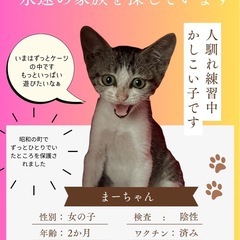 2カ月の女の子です。