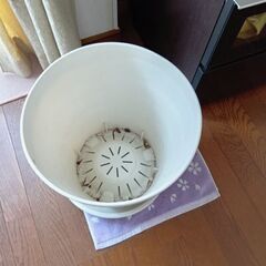 植木鉢の画像