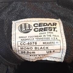 ハイカットスニーカー(ほぼ新品)の画像