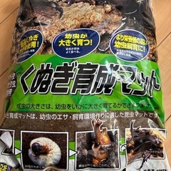 取引き中　
昆虫飼育セット　カブト虫　クワガタ の画像