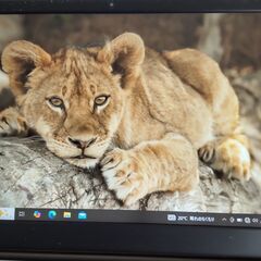 サムネイル
