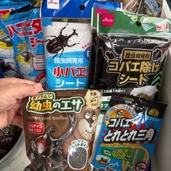 取引き中　
昆虫飼育セット　カブト虫　クワガタ の画像
