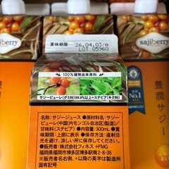 サジー豊潤　鉄分ビタミン美容飲料の画像
