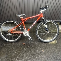 ビンテージMTB GT BACKWOODS の画像