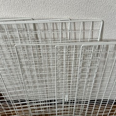 網の画像