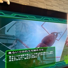 PlayStation 3 本体 + ゲームソフト多数の画像