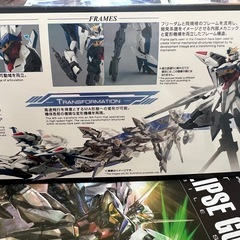 ガンプラ MG マスターグレード エクリプスガンダムの画像
