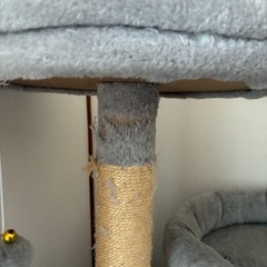 キャットタワーの画像