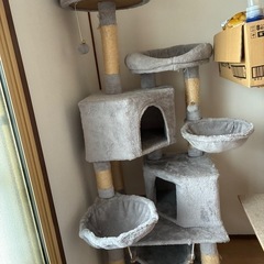 キャットタワーの画像