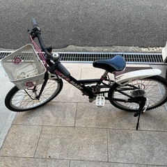 子供自転車　22インチ　ジュニア　mary maryの画像