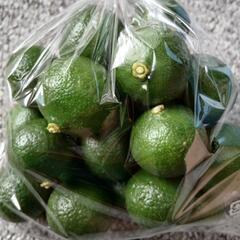 🌿夏野菜3点セット🌿の画像