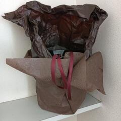 ウ　特大 陶器鉢 植木鉢 胡蝶蘭鉢 美品の画像