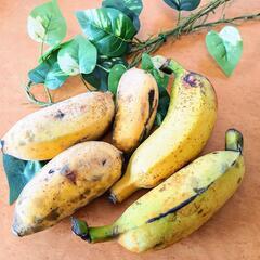 🍌あま～い島バナナ5本🍌の画像
