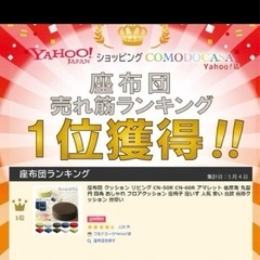 宮武製作所Amaretto（アマレット） ベロア⭐️低反発クッション　アイボリー色2個セットの画像
