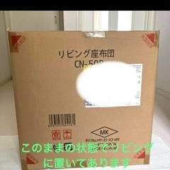 宮武製作所Amaretto（アマレット） ベロア⭐️低反発クッション　アイボリー色2個セットの画像