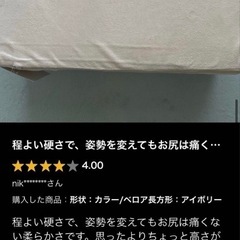 宮武製作所Amaretto（アマレット） ベロア⭐️低反発クッション　アイボリー色2個セットの画像