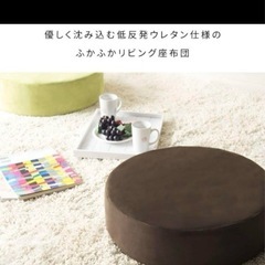 宮武製作所Amaretto（アマレット） ベロア⭐️低反発クッション　アイボリー色2個セットの画像