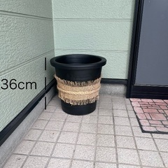 インテリア植木鉢の画像