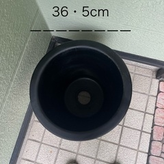 インテリア植木鉢の画像