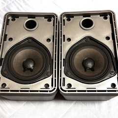 BOSE 101VMの画像