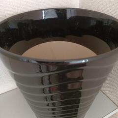 エ　特大 陶器鉢 植木鉢 胡蝶蘭 美品の画像