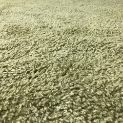 カーペットの画像