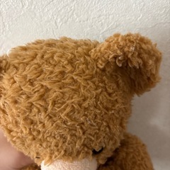 くまのぬいぐるみの画像