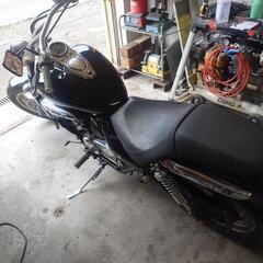 エリミネーター250vの画像