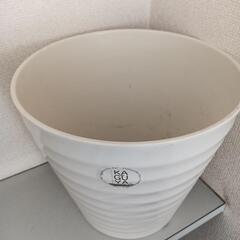 オ　竹から生まれた植木鉢 KAGUYA製 胡蝶蘭鉢 美品の画像