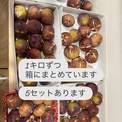 【8/17朝取れ】いちじく1kg12〜14個入りの画像